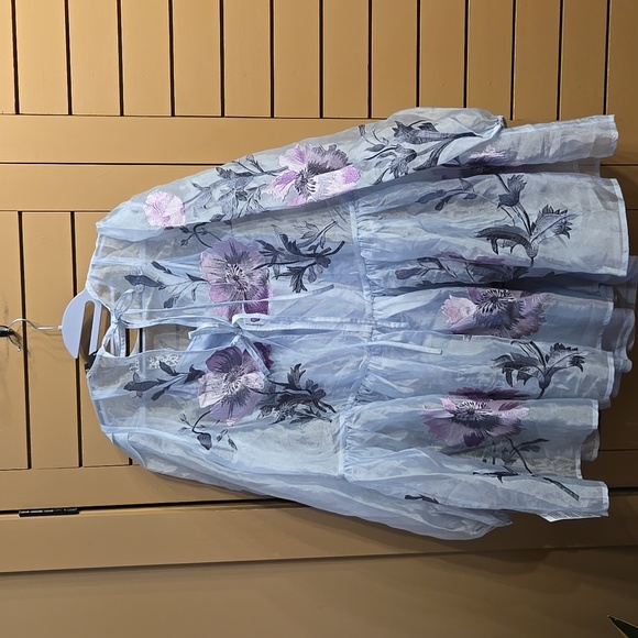 ASOS EDITION Oversized Smock Dress Size 8 (W/O original Slip) - Picture 9 of 14